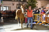 Immagine <b>REG_8167</b>